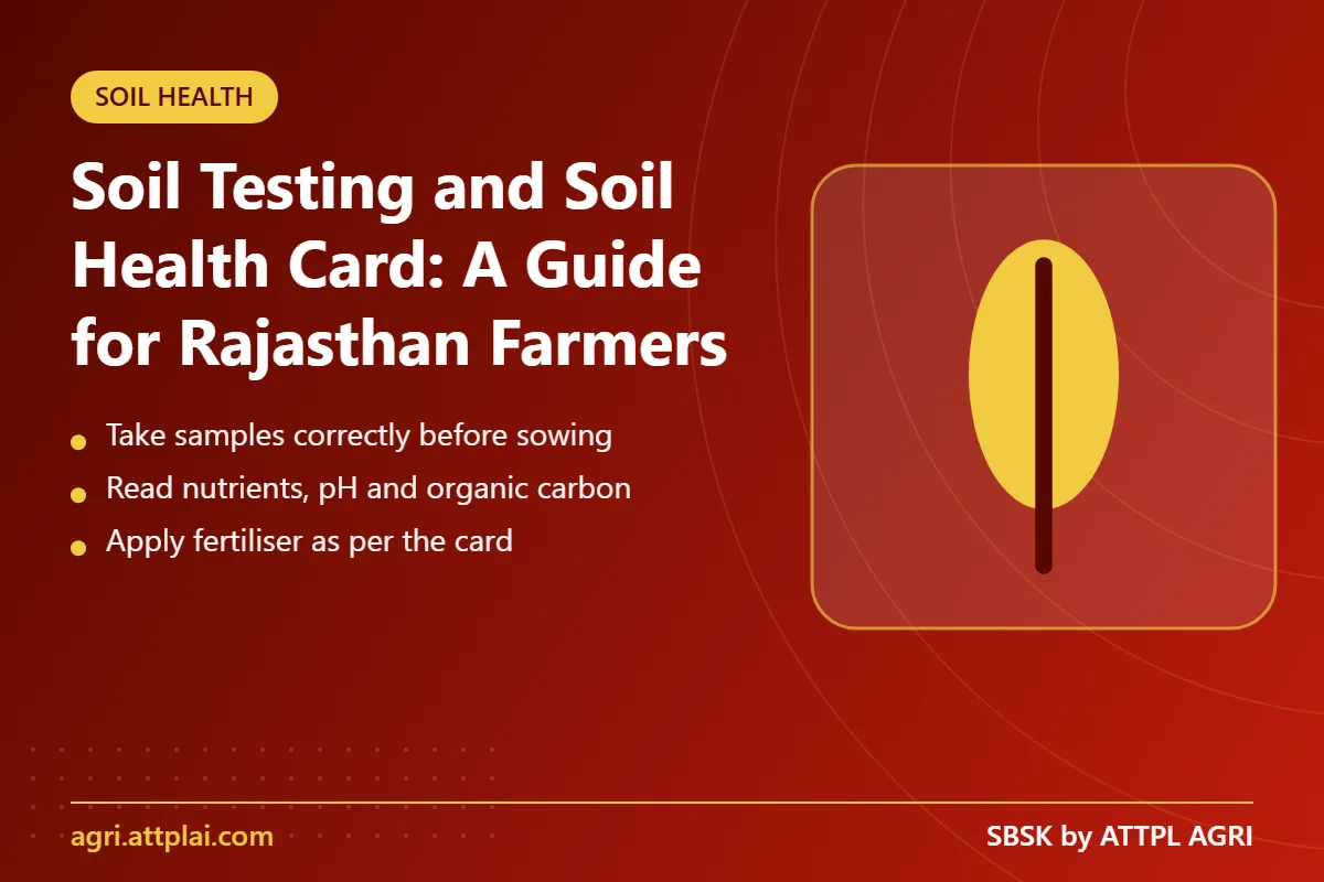 Soil Testing and Soil Health Card: A Guide for Rajasthan Farmers - key points