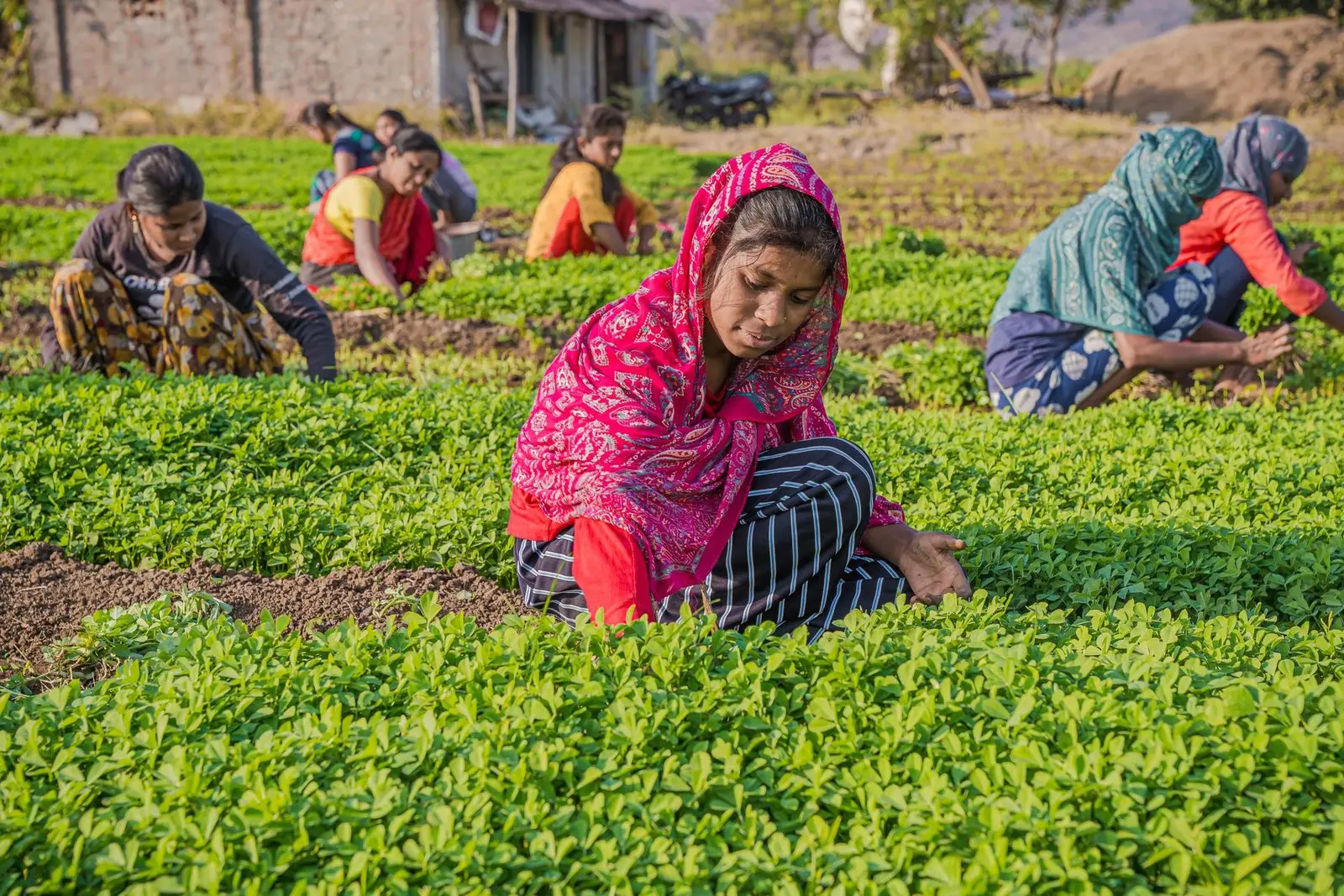 ATTPL WOMEN AGRIPRENEUR NETWORK