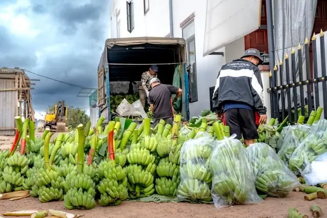 Accessible Agricultural Land