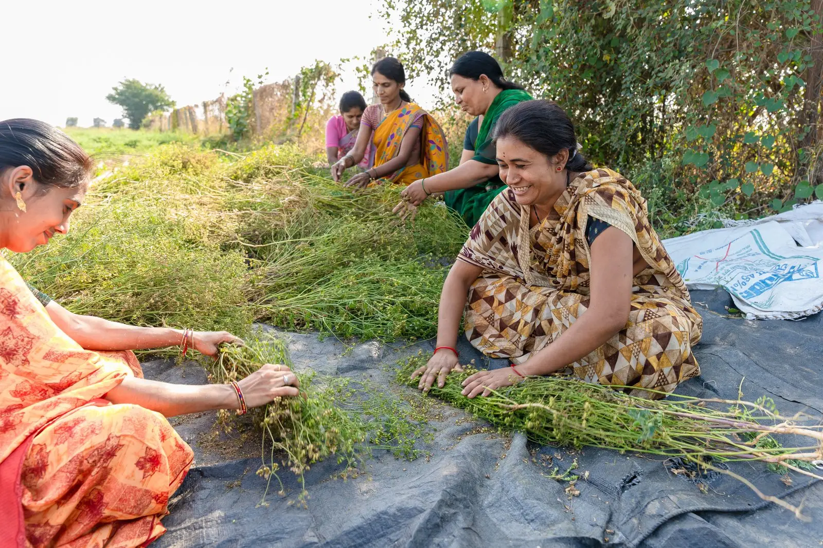 Government Scheme Assistance