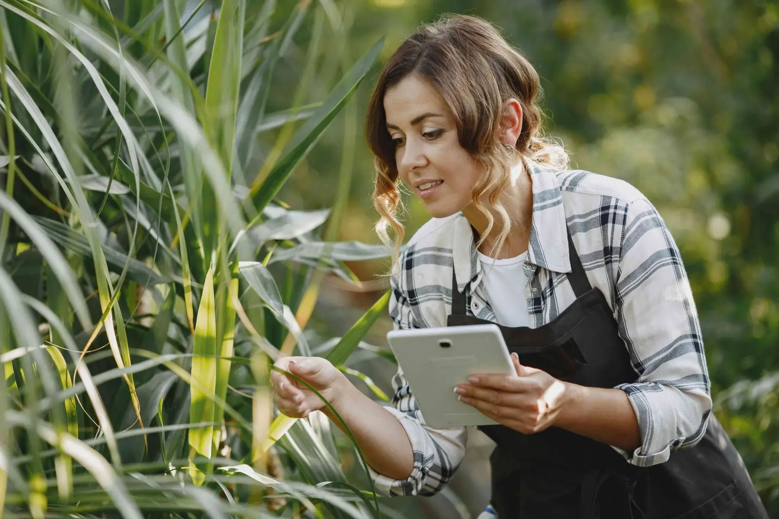 Digital Farmer Identity